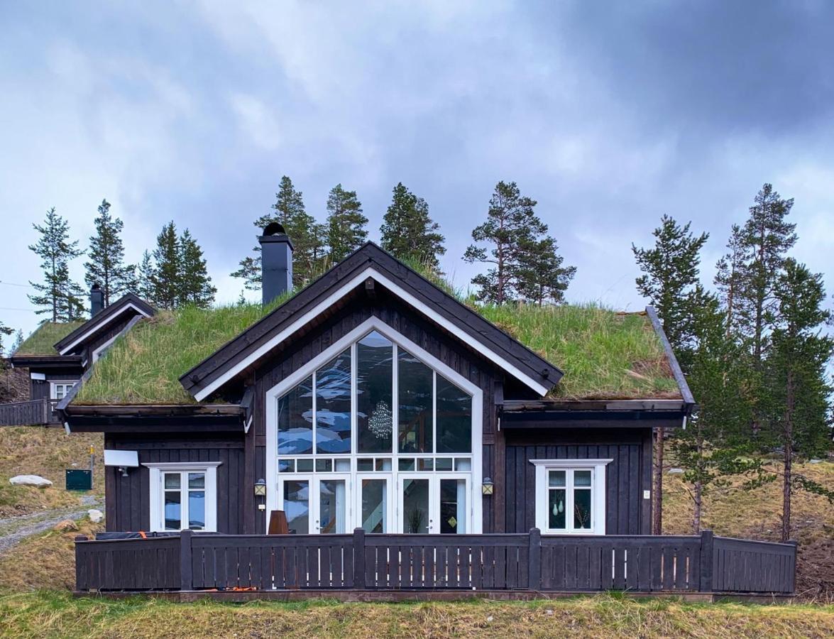 Willa Lemonsjoen-Jotunheimen-Besseggen Stuttgongfossen Zewnętrze zdjęcie
